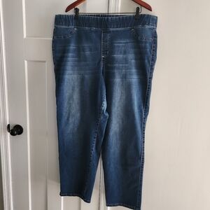 Apt. 9 Plus Size Woman's 22W Medium - Dark Wash Distressed Denim Jeans